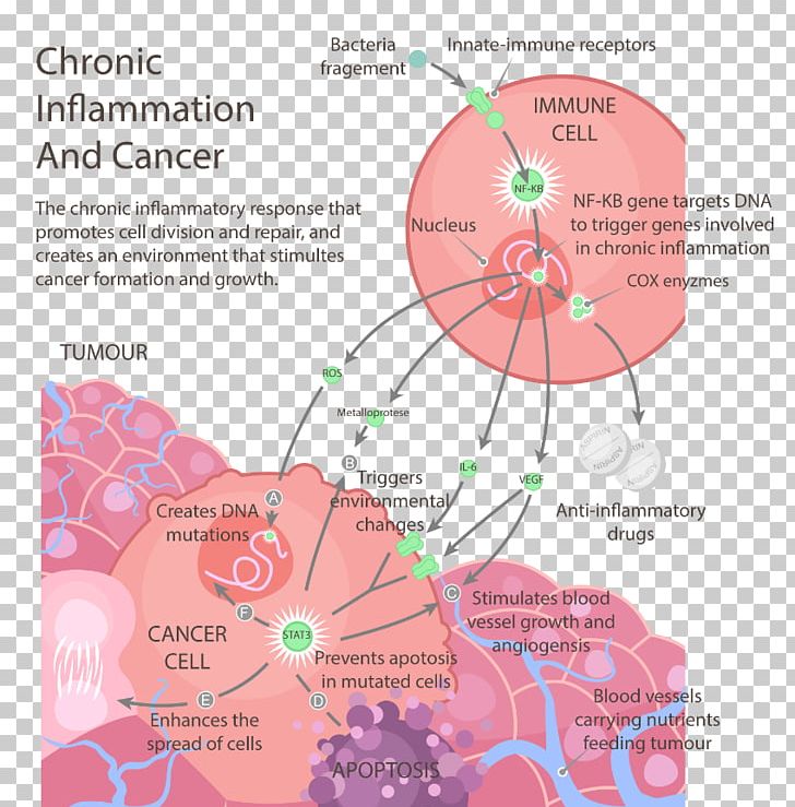 Cancer The Inflammation Free Diet Chronic Condition Health PNG, Clipart, Acute Disease, Area, Bc Cancer Agency, Cancer, Chronic Condition Free PNG Download