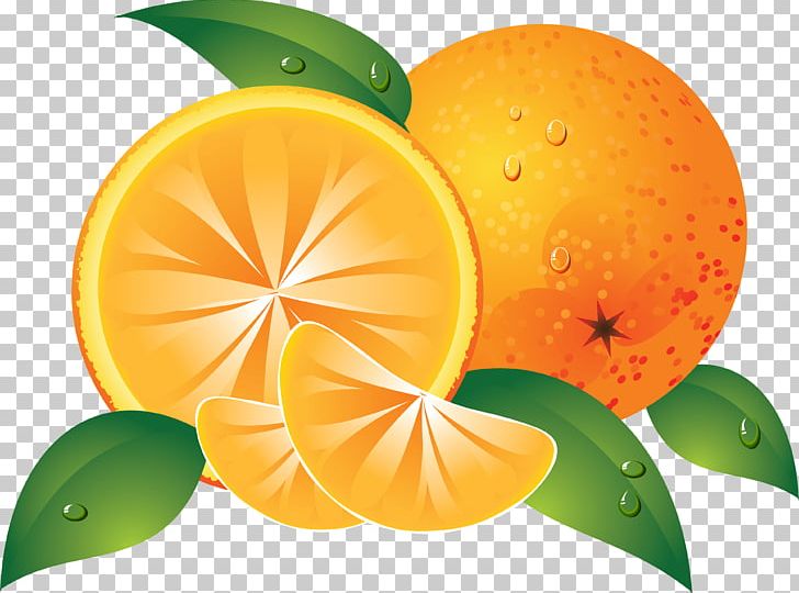 Orange Fruit PNG, Clipart, Bitter Orange, Citrus, Computer Wallpaper, Desktop Wallpaper, Food Free PNG Download