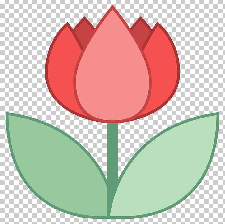 Flowering Plant Tulip Petal Liliaceae PNG, Clipart, Family, Flower, Flowering Plant, Flowers, Leaf Free PNG Download