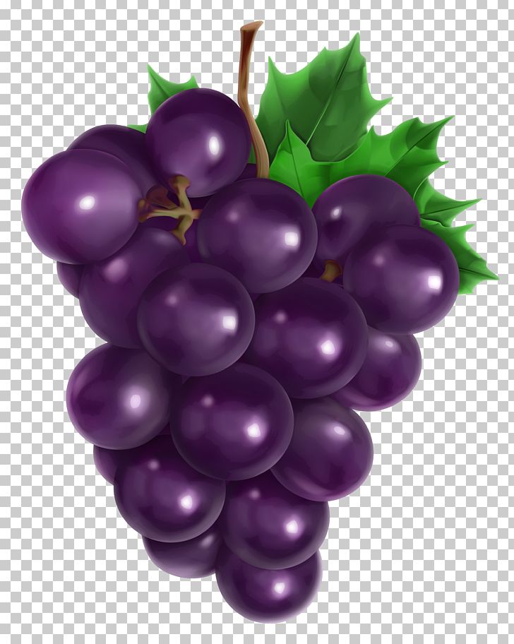 Juice Common Grape Vine Fruit PNG, Clipart, Clipart, Common Grape Vine, Food, Fruit, Fruits Free PNG Download