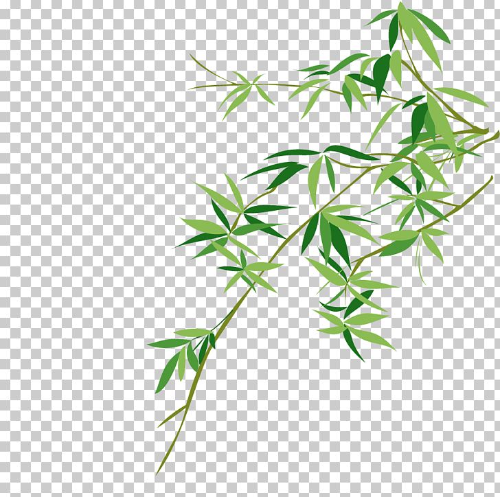 Bambusodae Chinese Painting Bamboo Painting PNG, Clipart, Angle, Bamboo, Bamboo 19 0 1, Bamboo Border, Bamboo Frame Free PNG Download