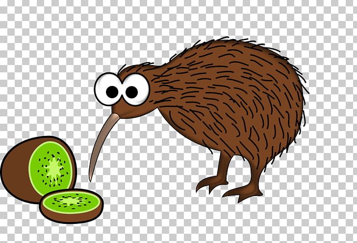 Bird New Zealand Cartoon PNG, Clipart, Animals, Beak, Bird, Cartoon, Clip Art Free PNG Download