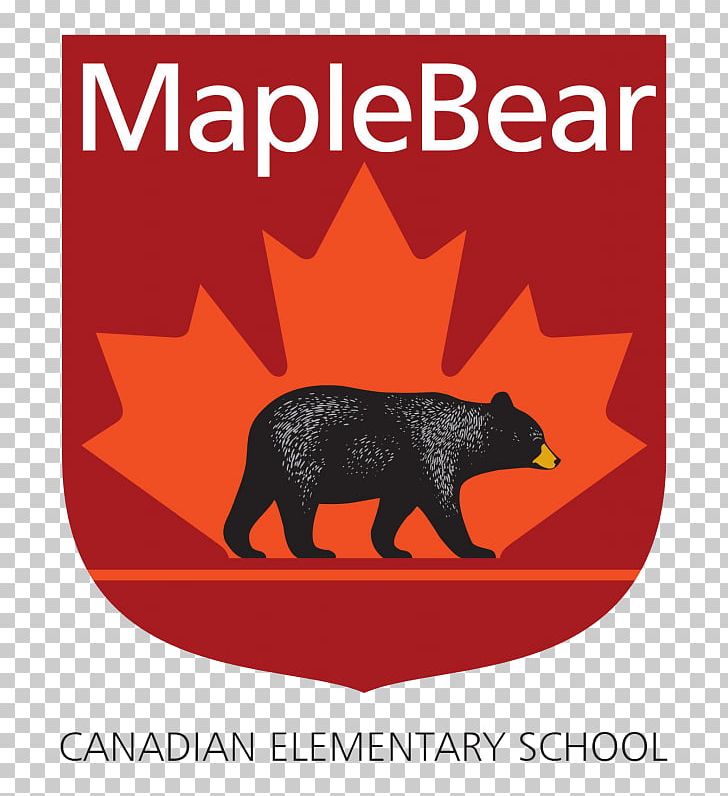 Maple Bear Canadian School Education Pre-school Kindergarten PNG, Clipart, Bear, Brasilia, Canadian, Child, Curriculum Free PNG Download