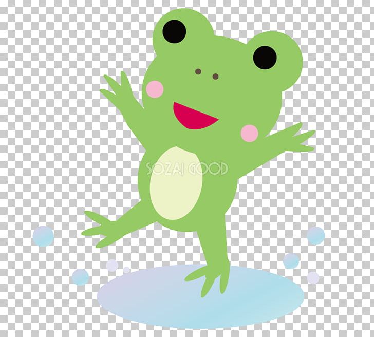 Tree Frog Puddle PNG, Clipart, Amphibian, Art, Cartoon, Chartreuse, East Asian Rainy Season Free PNG Download