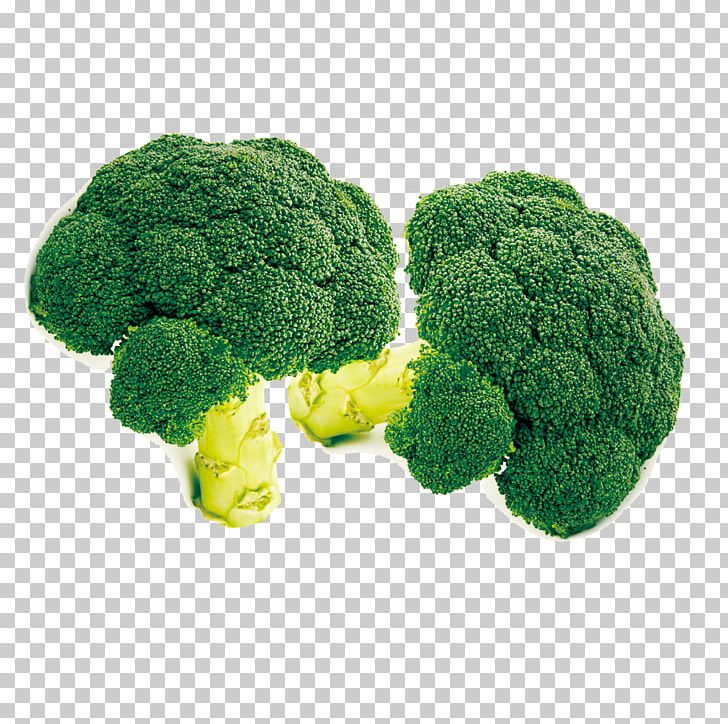 Broccoli Cabbage Vegetable PNG, Clipart, Bitter Melon, Broccoli, Cartoon Cauliflower, Cauliflower, Cauliflower Frozen Free PNG Download