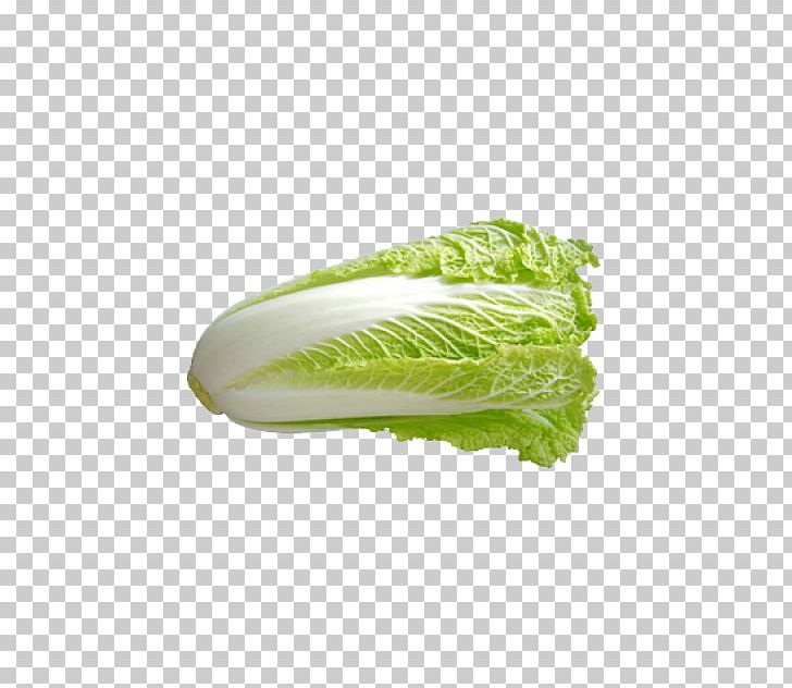 Chinese Cuisine Capitata Group Chinese Cabbage Napa Cabbage Vegetable PNG, Clipart, Brassica Oleracea, Cabbage, Capitata Group, Cauliflower, Chinese Cabbage Free PNG Download