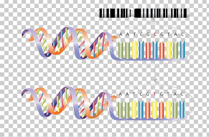 Genetics Single-nucleotide Polymorphism Mutation Genetic Variation PNG, Clipart, Behavioural Genetics, Brand, Dna, Gene, Genetic Code Free PNG Download