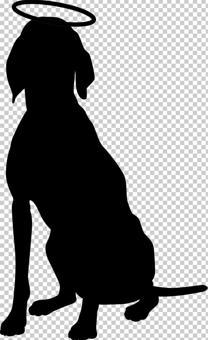 The Weimaraner English Setter German Shorthaired Pointer PNG, Clipart, Animals, Bird Dog, Black, Black And White, Carnivoran Free PNG Download