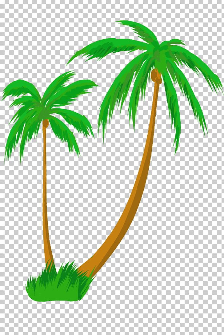 Arecaceae Tree PNG, Clipart, Arecaceae, Arecales, Flowering Plant, Flowerpot, Grass Free PNG Download