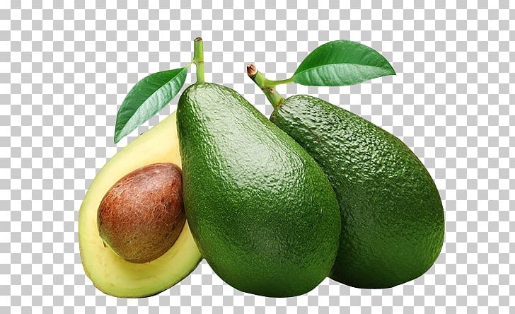Avocado Fruit Food Oil PNG, Clipart, Avocado, Avocado Juice, Avocado Oil Seed, Avocados, Avocado Smoothie Free PNG Download