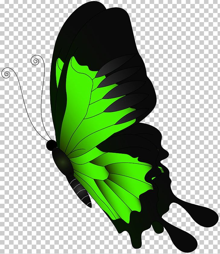 Butterfly Green PNG, Clipart, Art Green, Arthropod, Butterflies, Butterflies And Moths, Butterfly Free PNG Download