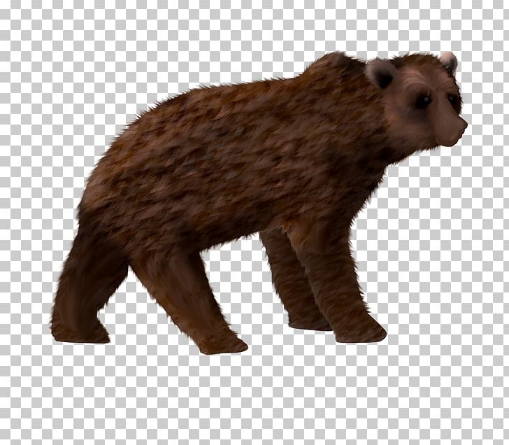 Grizzly Bear Description PNG, Clipart, Animal, Animal Figure, Animals, Bear, Brown Bear Free PNG Download