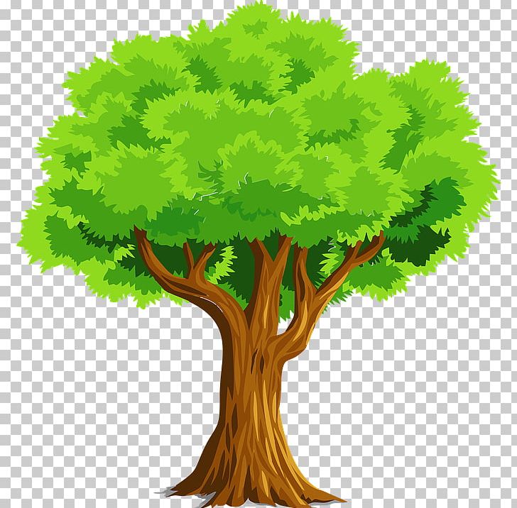 Tree PNG, Clipart, Apple Tree, Branch, Download, Grass, Leaf Free PNG Download