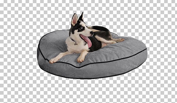 Dog Breed Bed Service Dog Couch PNG, Clipart, Animals, Bed, Blanket, Couch, Dog Free PNG Download