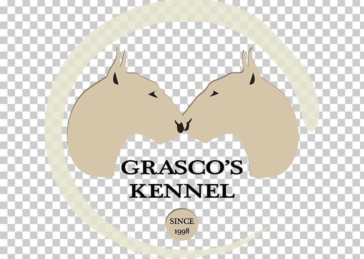 Miniature Bull Terrier Conformation Show Grasco's Kennel European Dog Show PNG, Clipart,  Free PNG Download