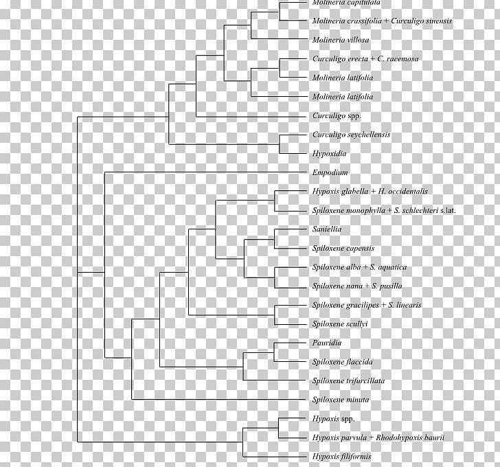 Plasmodium Falciparum Comparative Genomics Genome Chloroquine Gene PNG, Clipart, Angle, Antimalarial Medication, Area, Black And White, Chloroquine Free PNG Download
