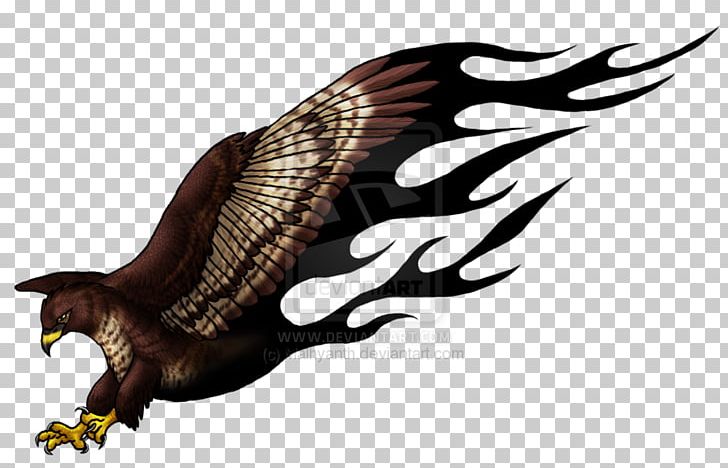 Eagle Buzzard Hawk Tattoo Turkey Vulture PNG, Clipart, Accipitriformes, Animal, Animals, Beak, Bird Free PNG Download