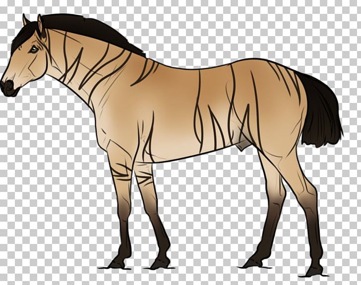 Mule Foal Stallion Mare Colt PNG, Clipart, Animal, Bridle, Colt, Donkey, Fictional Character Free PNG Download