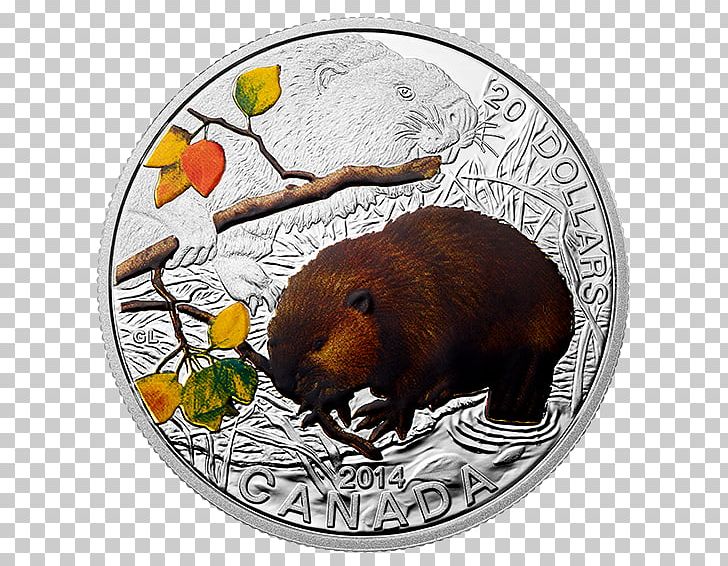 Beaver Silver Coin Canada Silver Coin PNG, Clipart, Animals, Beaver, Bullion, Bullion Coin, Canada Free PNG Download