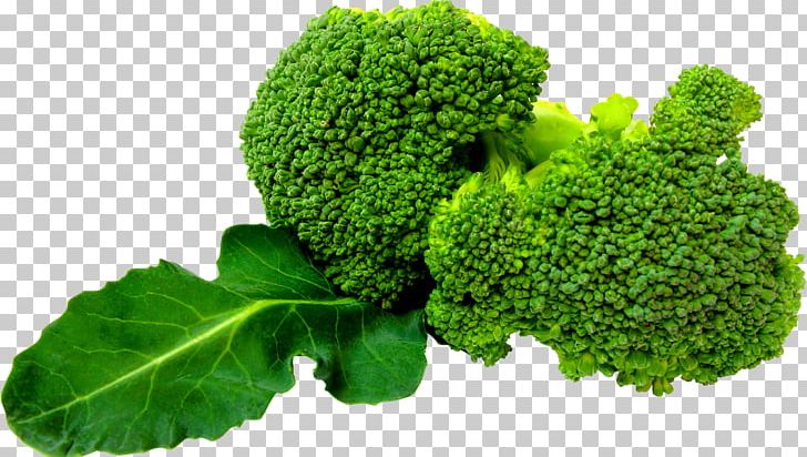Broccoli Slaw Leaf Vegetable PNG, Clipart, Broccoli, Broccoli Slaw, Collard Greens, Computer Icons, Download Free PNG Download