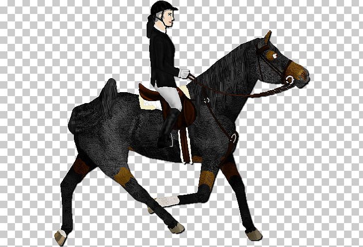 Hunt Seat Stallion Equestrian Rein Horse PNG, Clipart, Animals, Bit, Bridle, Dark Knight, Dressage Free PNG Download