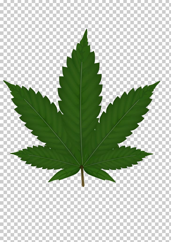 Cannabis Smoking Hemp Plant PNG, Clipart, Cannabinoid, Cannabis, Cannabis Sativa, Cannabis Smoking, Drawing Free PNG Download