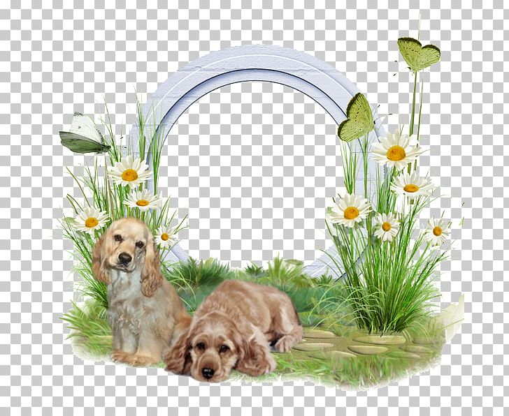 plant clipart png of a dog