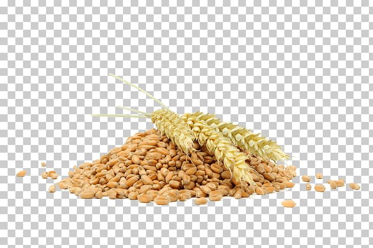 Stock Photography Wheat Ear Cereal Bulgur PNG, Clipart, Bran, Bulgur, Cereal, Cereal Germ, Commodity Free PNG Download