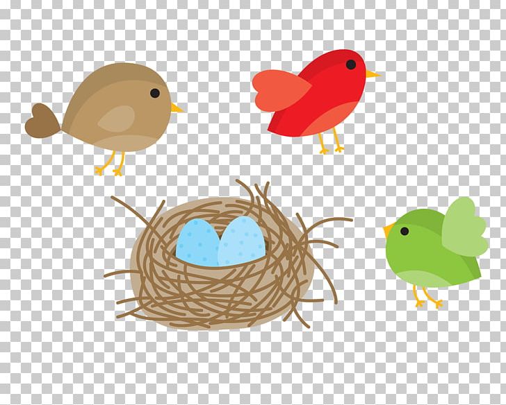 Bird Nest Domestic Canary Owl PNG, Clipart, Animals, Balloon Cartoon, Beak, Bird, Birdcage Free PNG Download