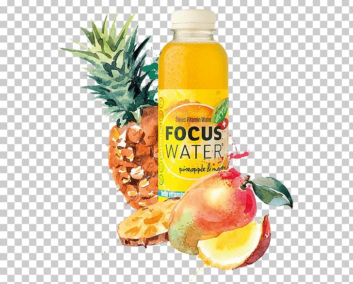 Pineapple Juice Food-art GmbH Vegetarian Cuisine PNG, Clipart, Ananas, Citric Acid, Diet Food, Drink, Flavor Free PNG Download