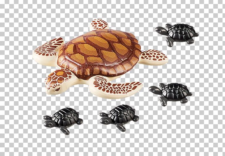 Turtle Playmobil Toy Infant Cheloniidae PNG, Clipart, Animals, Baby, Cheloniidae, Child, Emydidae Free PNG Download