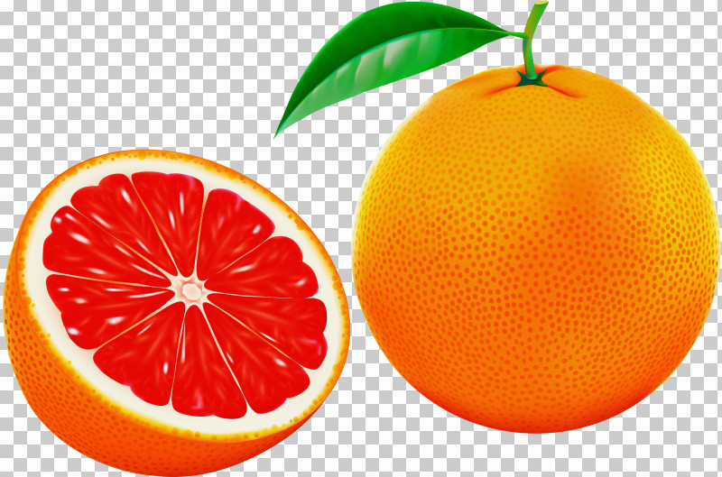 Orange PNG, Clipart, Bitter Orange, Calamondin, Citric Acid, Citrus, Clementine Free PNG Download