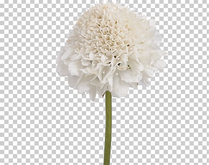 Cut Flowers Artificial Flower Flower Bouquet Hydrangea PNG, Clipart, Artificial Flower, Cut Flowers, Floristry, Flower, Flower Bouquet Free PNG Download