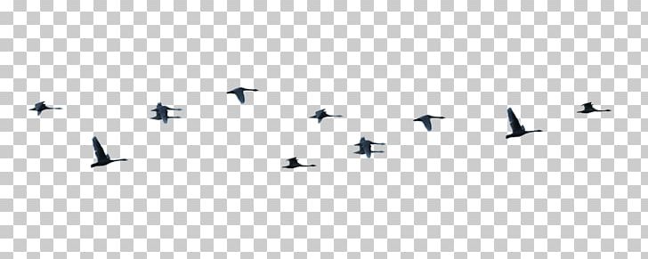 Wing Airplane Bird Migration Font PNG, Clipart, Aircraft, Air Force, Airplane, Animal Migration, Bird Free PNG Download