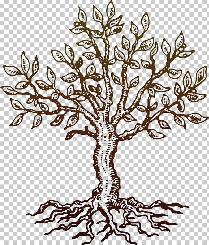 Drawing Tree PNG, Clipart, Art, Black And White, Branch, Drawing, Encapsulated Postscript Free PNG Download