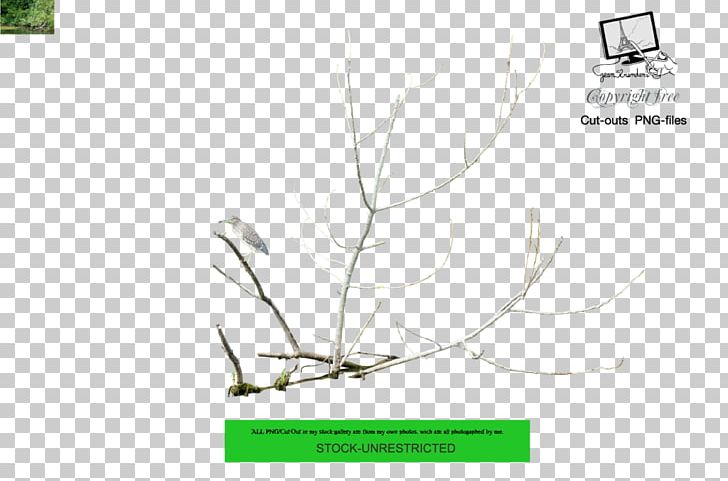 Leaf Text Branch PNG, Clipart, Art, Artist, Atlantic Surf Clam, Branch, Brand Free PNG Download