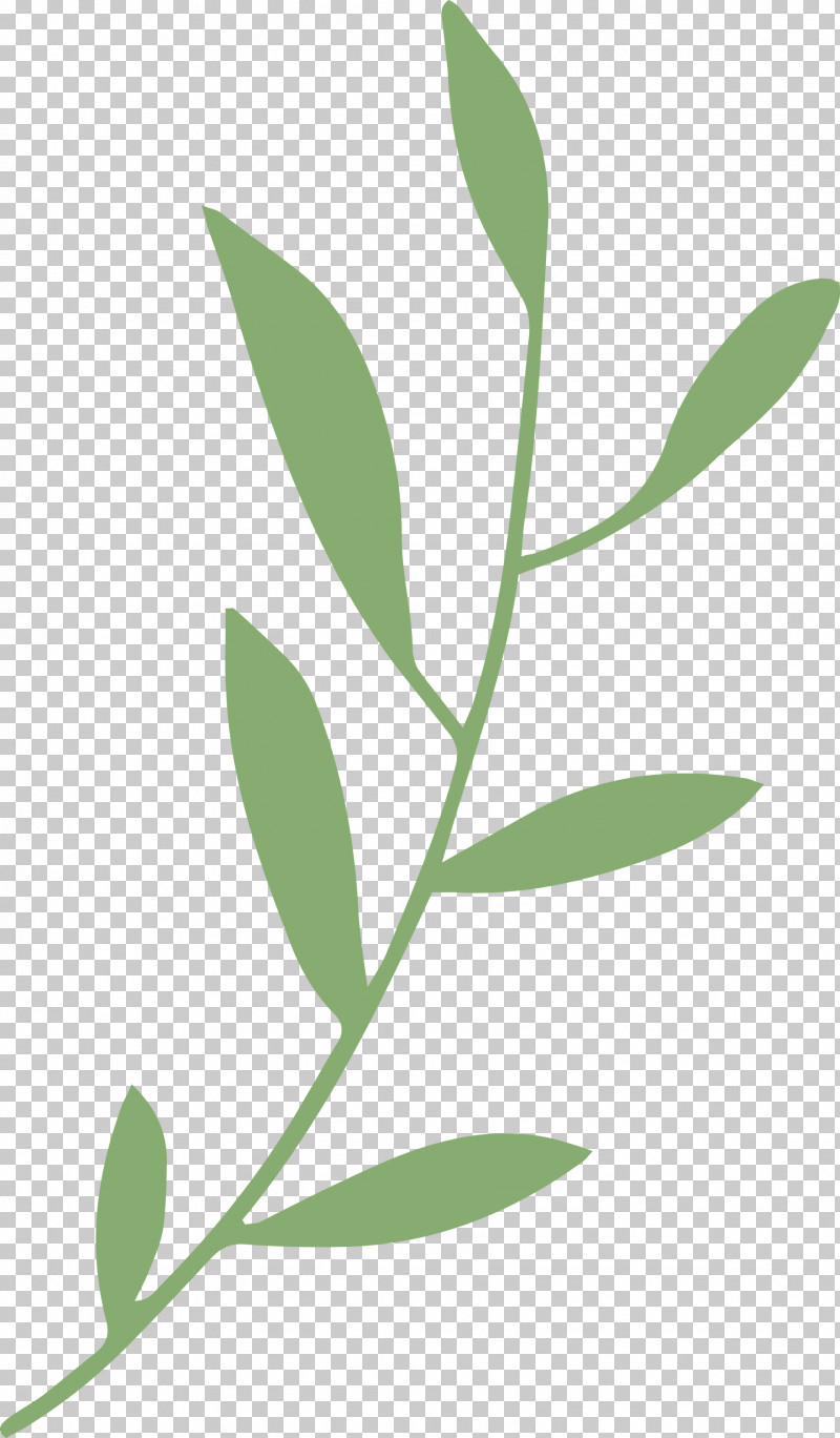 Leaf Branch PNG, Clipart, Biology, Leaf, Leaf Branch, Meter, Plants Free PNG Download