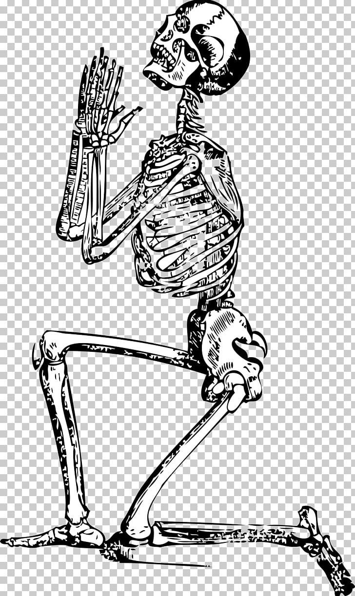 Drawing Human Skeleton PNG, Clipart, Area, Arm, Art, Artwork, Black And White Free PNG Download