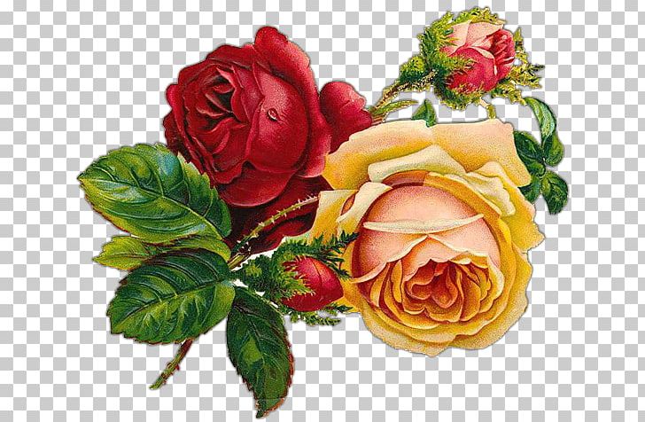Rose Floral Design PNG, Clipart, Art, Bucks, Clip Art, Cut Flowers, Decoupage Free PNG Download