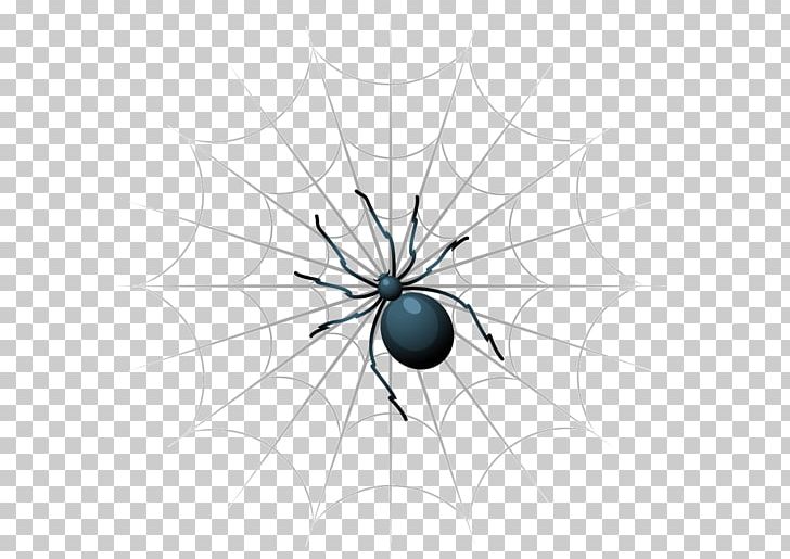 Spider Web Insect PNG, Clipart, Black, Black And White, Black Background, Black Board, Black Hair Free PNG Download