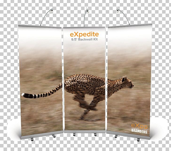Cheetah Leopard Jaguar Cat Cougar PNG, Clipart, Advertising, Animal, Animals, Banner, Brand Free PNG Download
