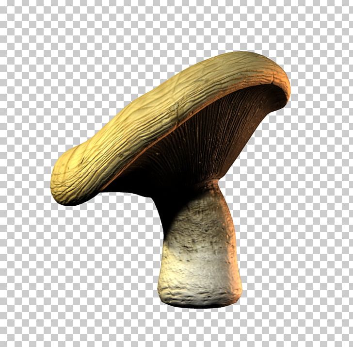 Edible Mushroom Pleurotus Eryngii Portable Network Graphics File Format PNG, Clipart, Art, Drawing, Edible Mushroom, Fungus, Mushroom Free PNG Download