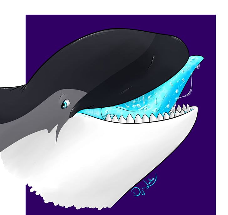 Killer Whale Dolphin Marine Mammal Cetacea PNG, Clipart, Animal, Animals, Aqua, Art, Cetacea Free PNG Download