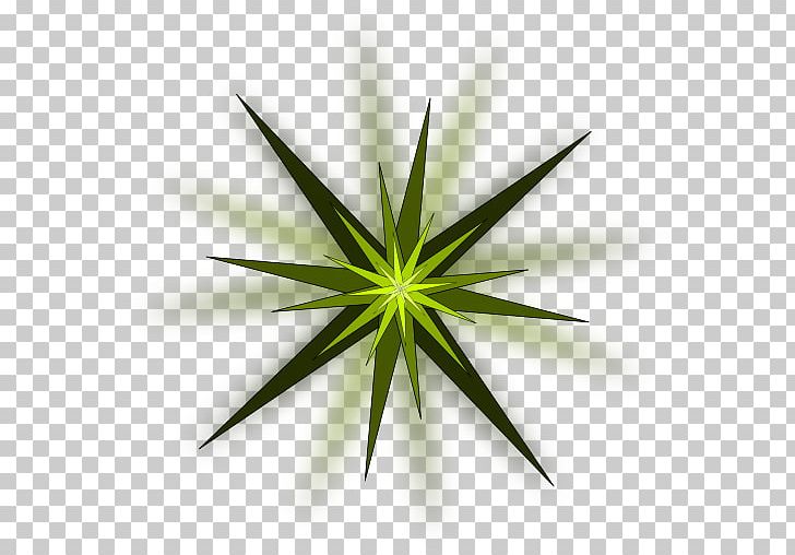 Light Star Green PNG, Clipart, Color, Computer Wallpaper, Flora, Free Content, Grass Free PNG Download