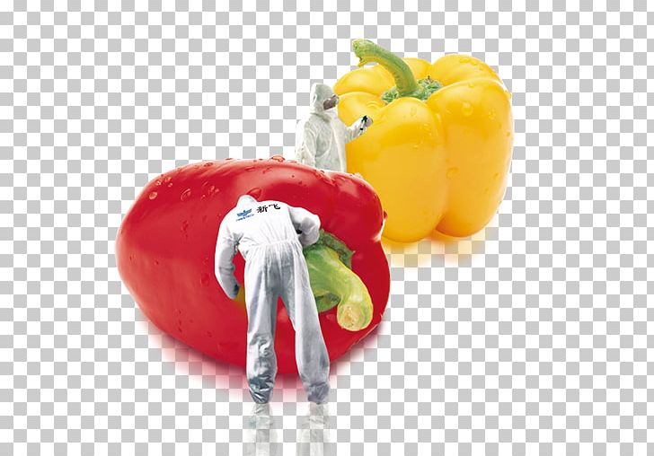 Ozone No Sterilization Air Purifier PNG, Clipart, Bell Pepper, Bell Peppers And Chili Peppers, Chili, Food, Fruit Free PNG Download