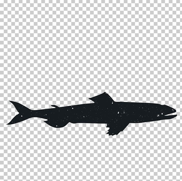 Animal Silhouette Black Airplane Marine Mammal PNG, Clipart, 3d Animation, Aircraft, Airline, Airplane, Animal Free PNG Download