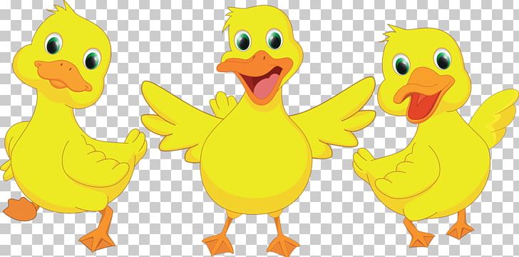 Duck Drawing PNG, Clipart, Animal Figure, Animals, Beak, Bird, Cartoon Free PNG Download