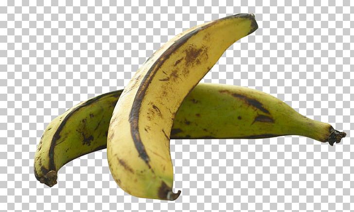 Saba Banana Cooking Banana Fruit Pomegranate PNG, Clipart, Asian Pear, Auglis, Banana, Banana Family, Cooking Banana Free PNG Download