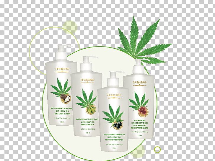 Hemp Oil Dietary Supplement Tiens Group Cosmetics PNG, Clipart, Cosmetics, Dietary Supplement, Fatty Acid, Food, Health Free PNG Download