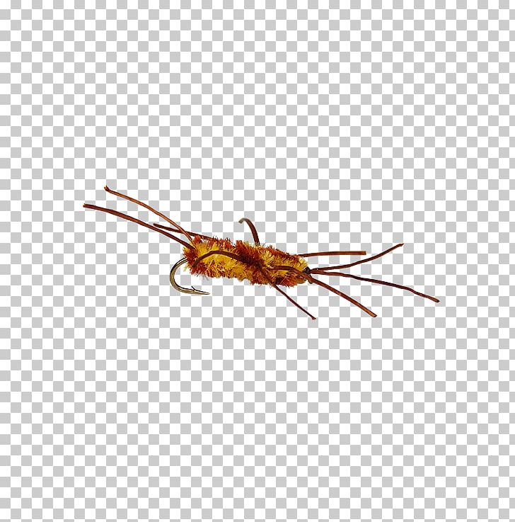 Insect Pest PNG, Clipart, Animals, Arthropod, Insect, Invertebrate, Membrane Winged Insect Free PNG Download